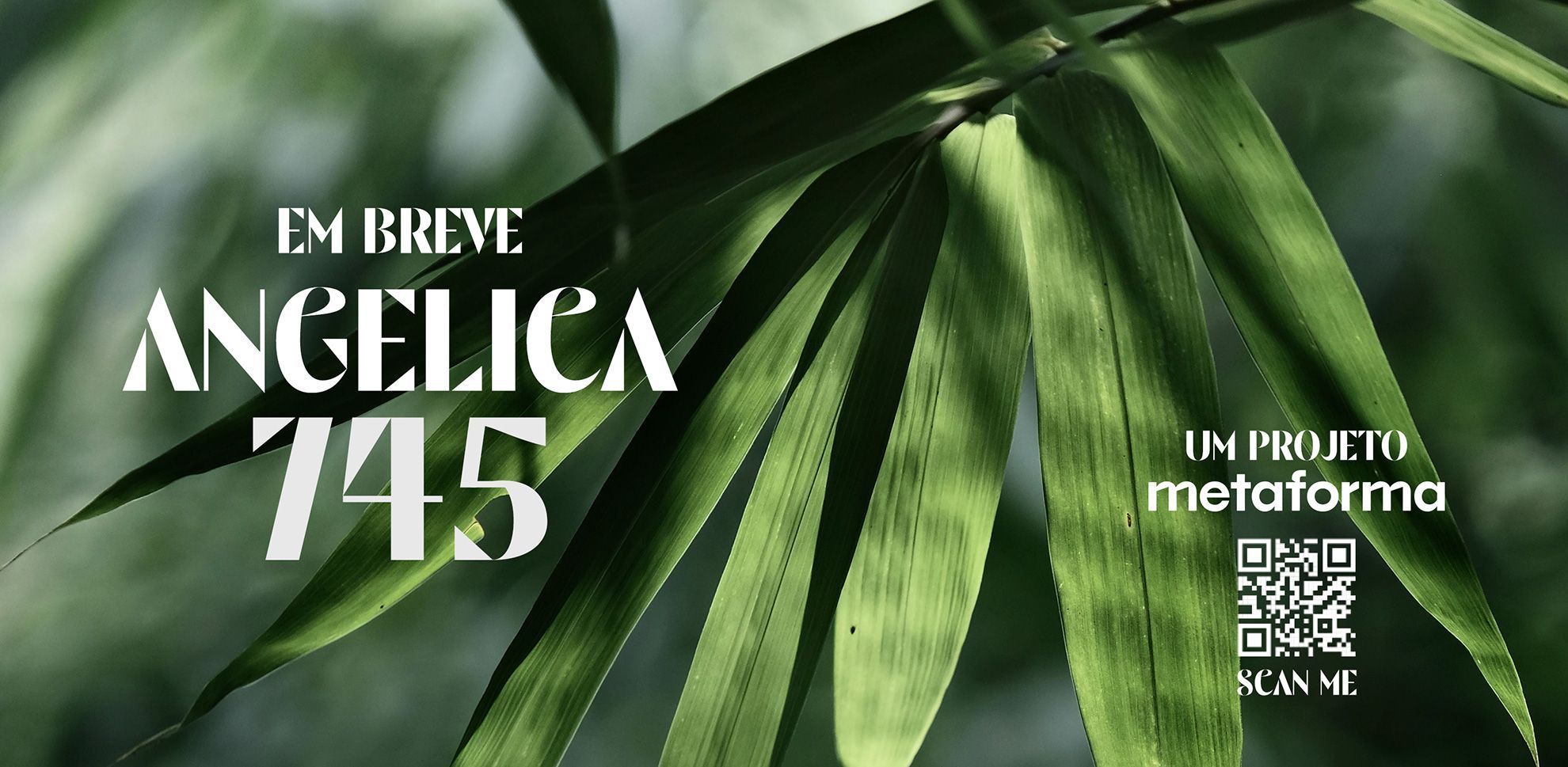 Em BREVE Angelica 745